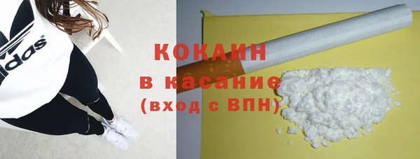 ешки Арсеньев