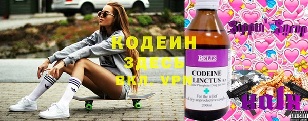 твердый Тавда