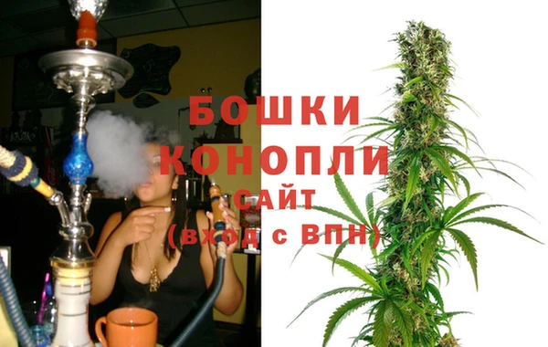 крисы Тайга