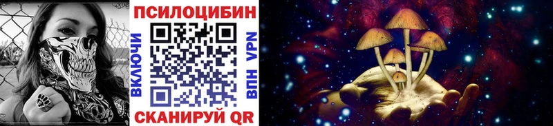 Галлюциногенные грибы Psilocybe  Реж 
